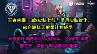 皮肤优化最新爆料,科技与自然的完美融合