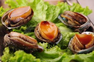 鲍鱼最新爆料图片大全,高清美图大赏